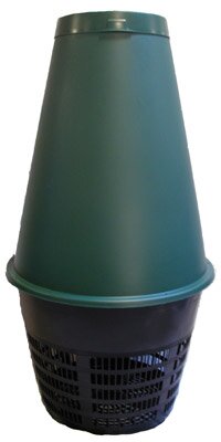 Green Cones